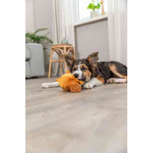 Игрушка Trixie для собак Белка с эффектом памяти полиэстер оранжевая 13 см Винница