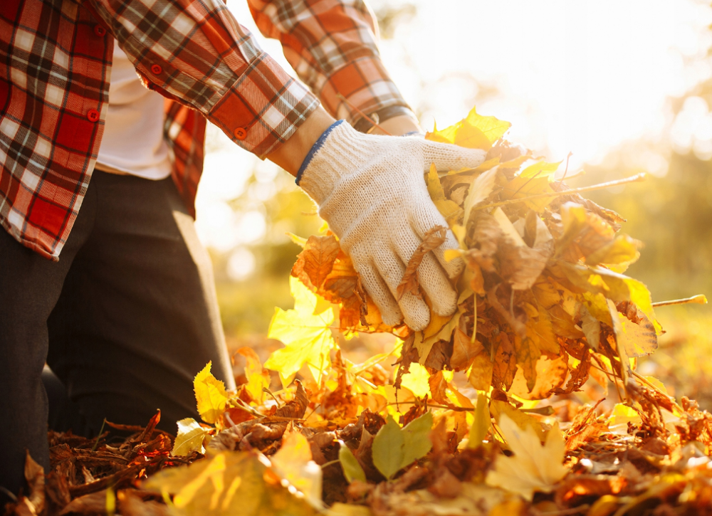 Тележка садовая Maltec 100л (Польша) Киев - изображение 10