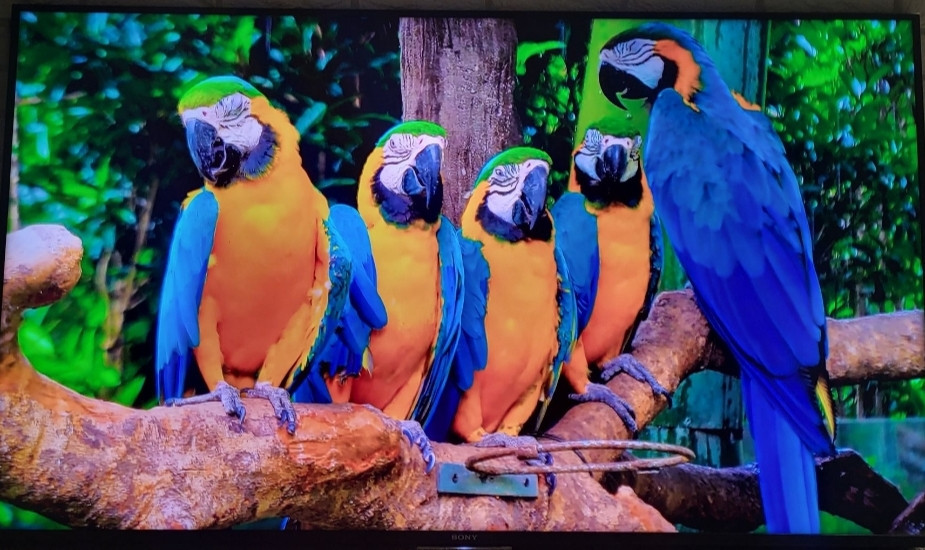 Телевізор SONY 65" Київ - фото 6