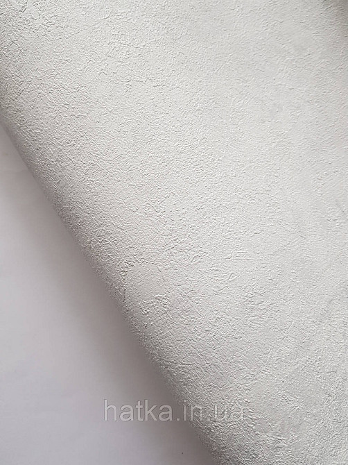 Шпалери вінілові на флізеліні A.S.Creation Sylvana 1.06x10 під штукатурку під бетон світло-сірий 79139-3 Київ - фото 1