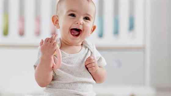 Погремушка-прорезыватель Hape Веселое колечко (E0025) Харьков