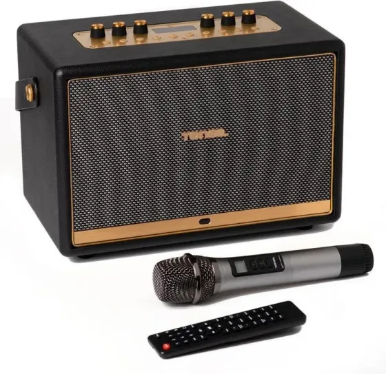 Портативная колонка Tonsil Magna - Динамік Bluetooth + Мікрофон bezprzewodowy Czarny Киев