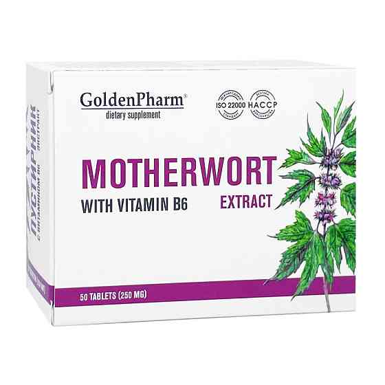 Пустирник екстракт з вітаміном В6 Голден-Фарм 50 таблеток Луцьк