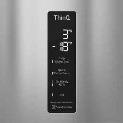 Холодильник LG GC-B509SMSM Винница