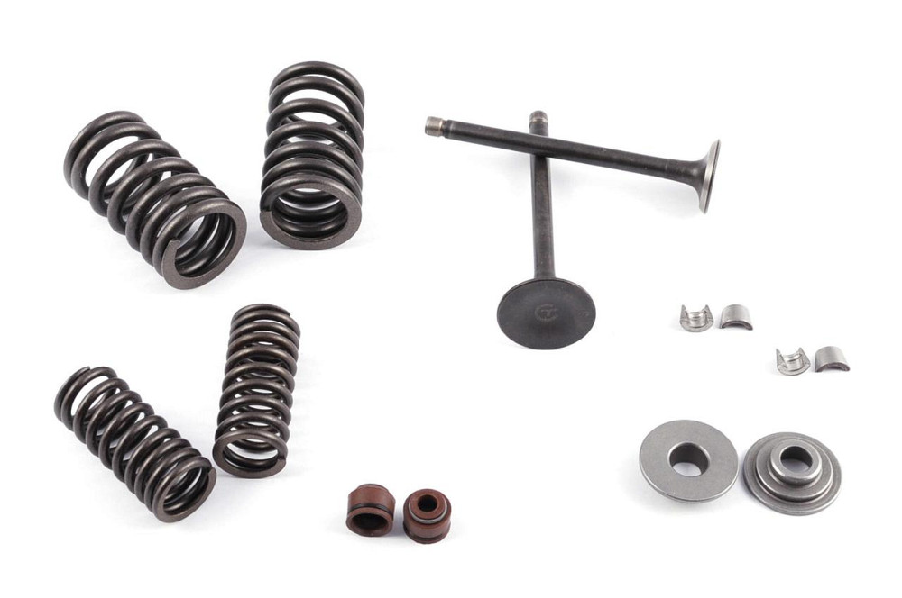 Клапани (пара, у зборі) мопед Дельта 70 (L-66mm) Мукачево - фото 1