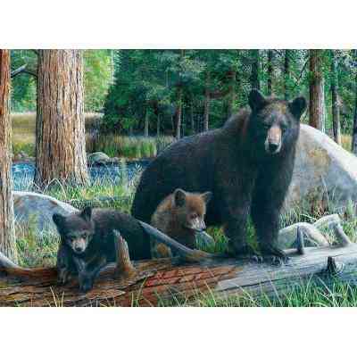 Пазл Eurographics Познавая мир 1000 элементов (6000-0793) Вінниця