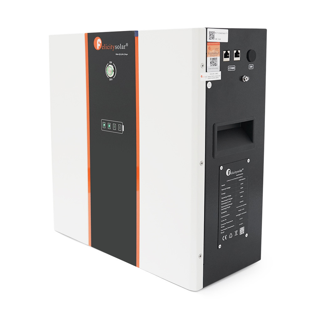 Акумулятор FelicityESS LiFePO4 LPBF24200-M 24v 200Ah, BMS 120A@8S, 5kW, до 6 parallel, CAN&RS485, IP21, 6000Cycles, Киев - изображение 2