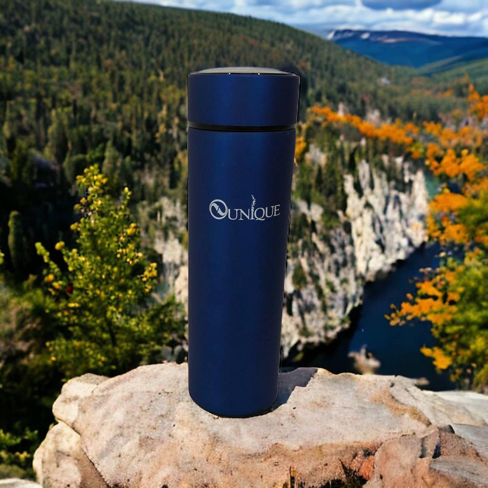 Термокружка для детей UNIQUE UN-1006 500 мл, Термос с датчиком температуры на подарок GH-44 Киев - изображение 1