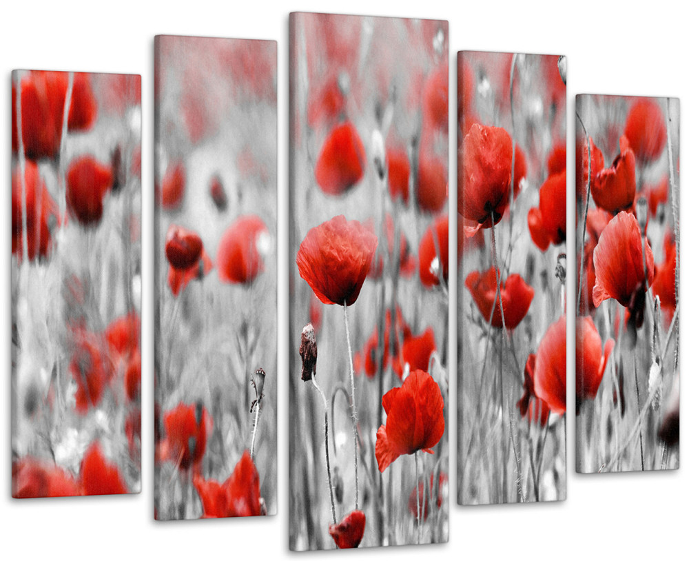 Модульная картина Маки Art-129_5 90х132 см Киев - изображение 1