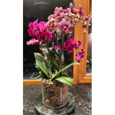 Ваза Ecomo Cylinder 19 x 19 см (35096) Вінниця - фото 9