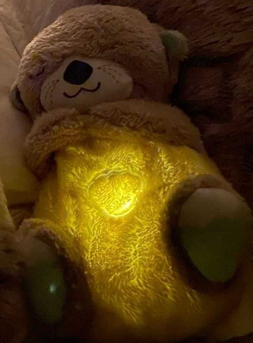 Заспокійливий нічник Дихаюча Видра і Коала Мягкая игрушка Ночник Выдра. Харків - фото 12