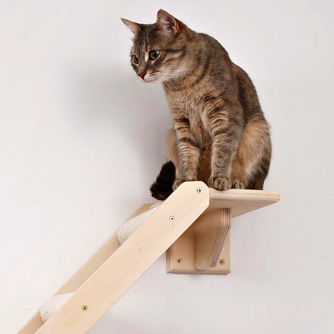 Игровой комплекс для кошек 