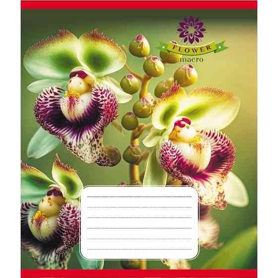 Тетрадь ученическая 