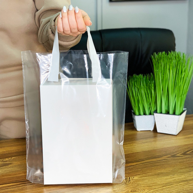Пакет пищевой LDPE прозрачный, 30х35(+3)см, 60 мкм, с петлевой белой ручкой, (50 шт.) Павлоград - изображение 2