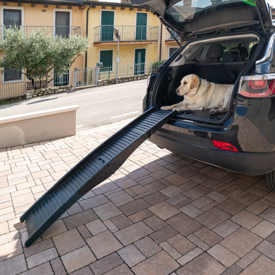 Пандус для собак Ferplast Dog Ramp (Ферпласт) до 50 кг складний Запоріжжя