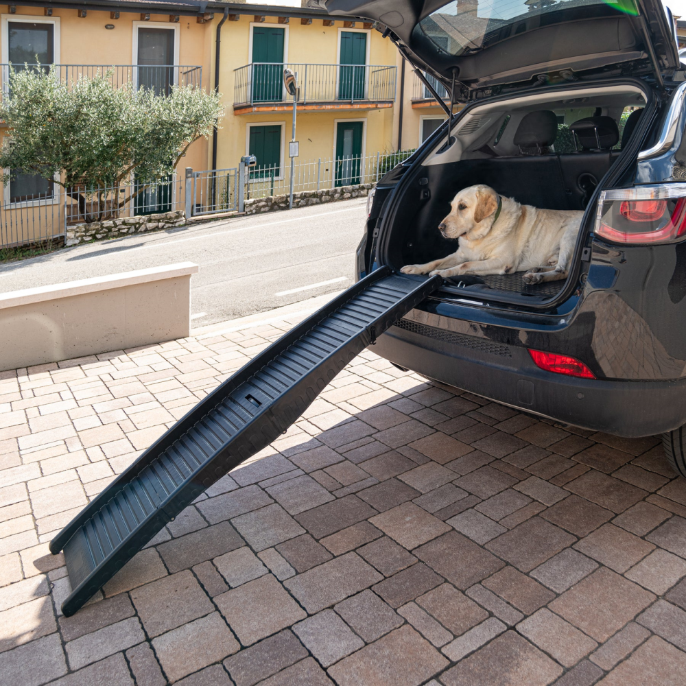 Пандус для собак Ferplast Dog Ramp (Ферпласт) до 50 кг складний Запоріжжя - фото 4