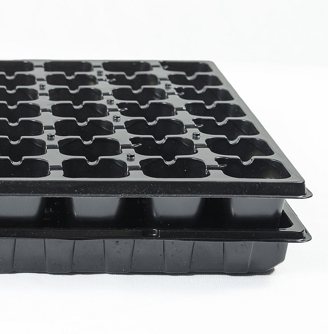 Піддон під касети для розсади 60*40 см Дніпро - фото 7