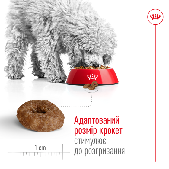 Корм для взрослых собак мелких пород ROYAL CANIN MINI AGEING 12+(возраст от 12 лет) 0.8 кг Киев