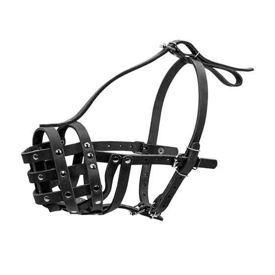 Намордник твердий "CoLLaR" (ротвейлер великий) чорний Коломия