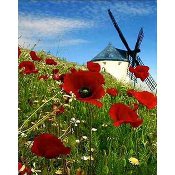 Алмазна мозаїка "Млин" HEG86061, 30х40 см Вінниця