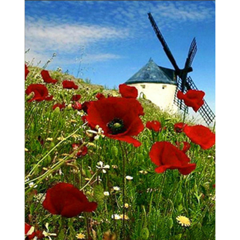 Алмазная мозаика 