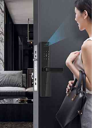 Смарт замок кодовий розумний дверний з дисплеєм KHS-D10F з розблокуванням по обличчю, відбитком пальця, ключ-картою Кам'янець-Подільський