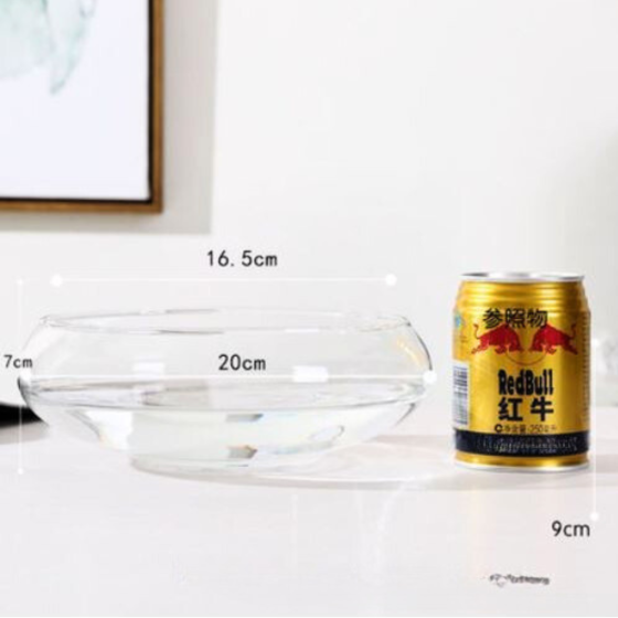 Ємність для флораріуму діаметр 20 см Чаша для флораріуму, мосаріуму, квіткових композицій Одеса