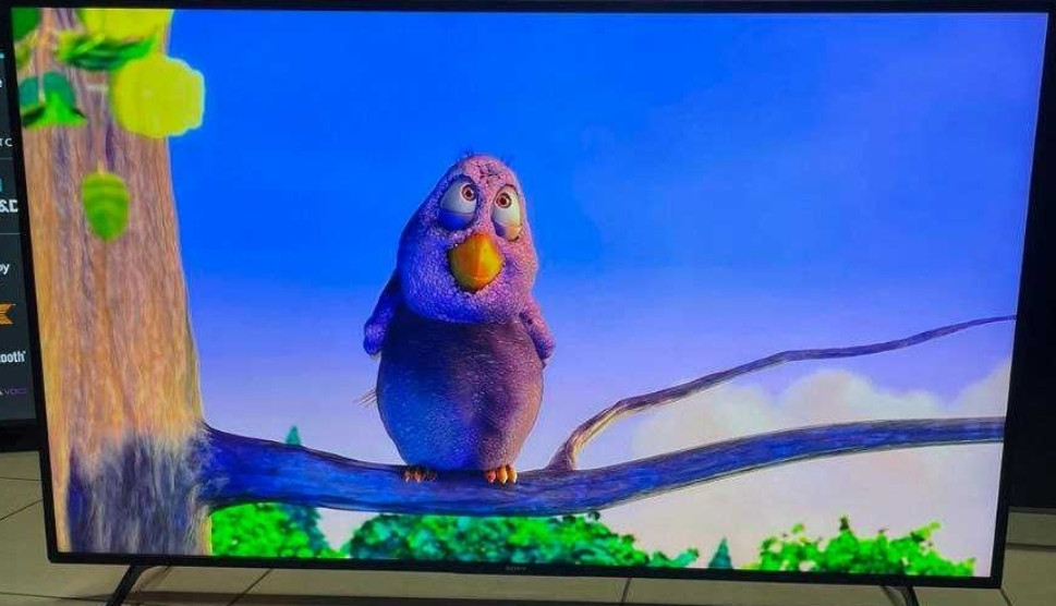 Телевизор Безрамный: 65