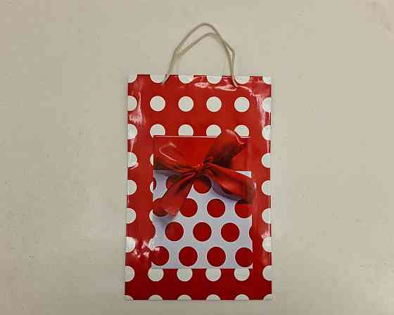 Великий паперовий пакет вертикальний 25/37/8 (артBV-143) (12 шт.) Харків