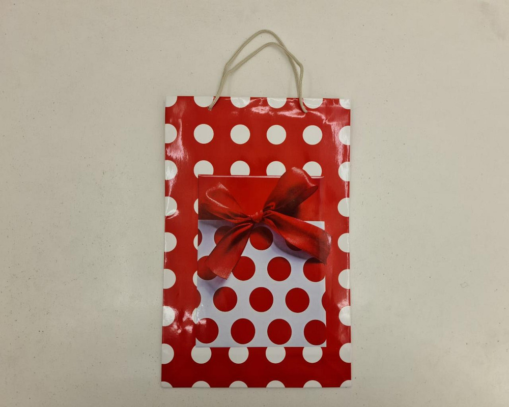 Великий паперовий пакет вертикальний 25/37/8 (артBV-143) (12 шт.) Харків - фото 4