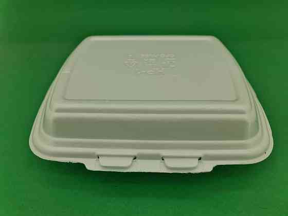 Ланч-бокс из вспененного полистирола с крышкой (250*210*70) белый HP-1 (125 шт) Харків