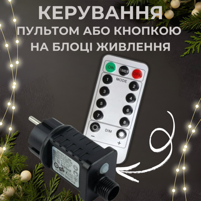 Роса пучок 2 метра 10 нитей Niki Light конский хвост с пультом 200 Led гирлянда для елки холодный бе Киев - изображение 4