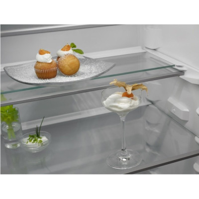 Холодильник Electrolux RNT6TE19S0 Вінниця - фото 4