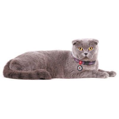 Ошейник для животных WAUDOG Re-cotton с QR паспортом для кошек и мелких пород собак XS фиолетовый (16409) Винница - изображение 4