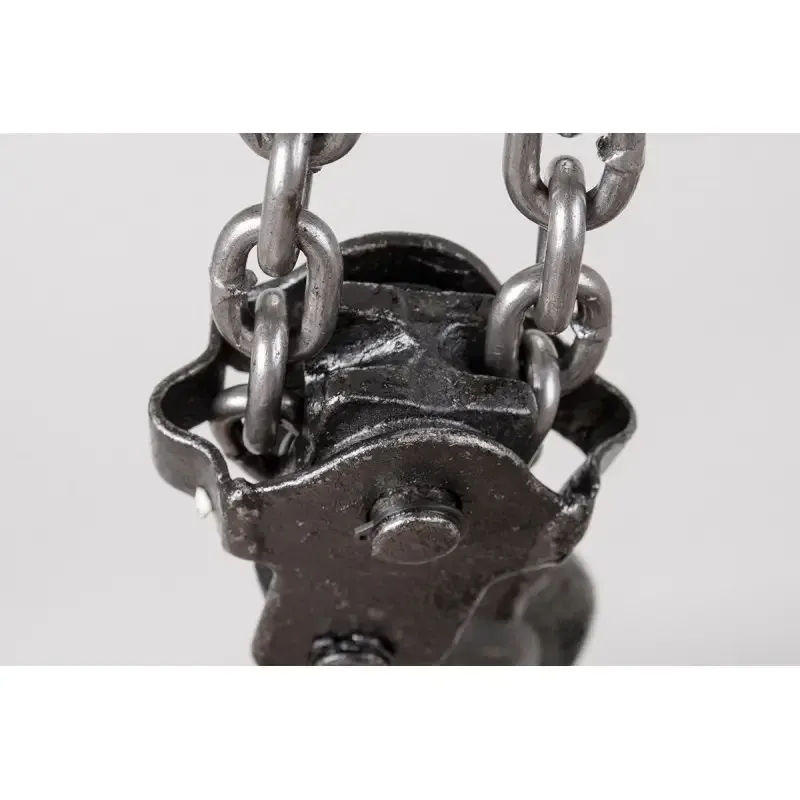 Лебідка ланцюгова 3т 2.5  метри Euro Craft ,Таль підіймальна ланцюгова 3 тонна,Лебідка 3 тонн Львів - фото 5