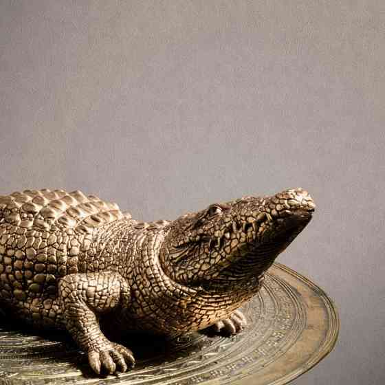 Шпалери BN International Grand Safari 220504 Київ