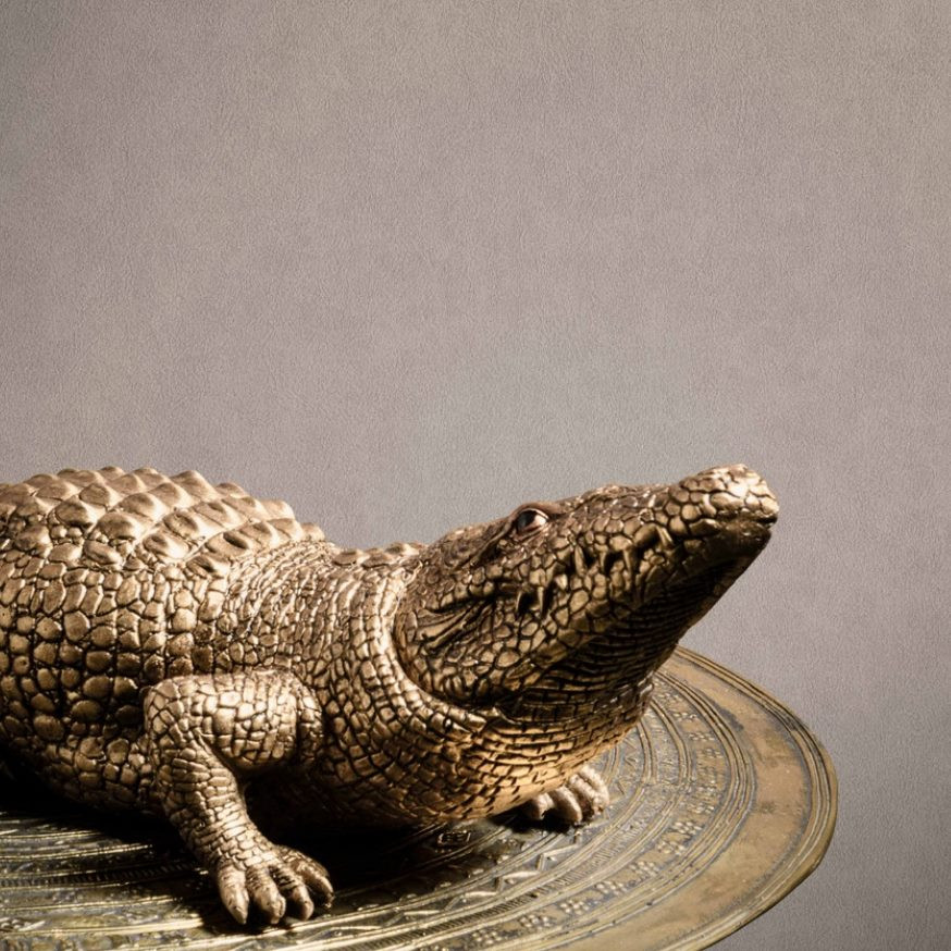 Шпалери BN International Grand Safari 220504 Київ - фото 2