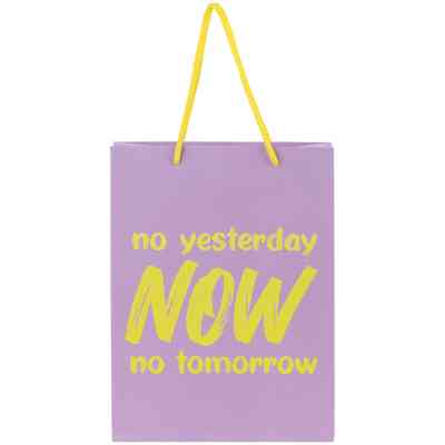 Подарочный пакет Axent бумажный NOW 18х24 см (8501-27-A) Винница