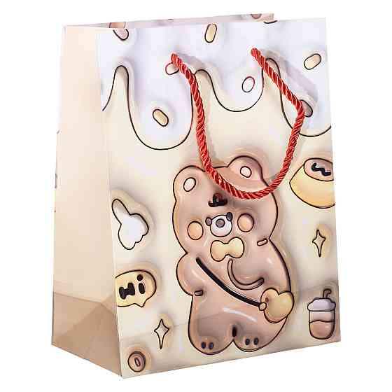 Набір подарункових пакетів з паперу 12 (шт.) картонні гарні пакети для подарунків 18×10×22.5 (см) HP-10359-20 Київ