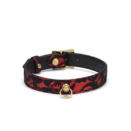 Чокер з кільцем для повідця Liebe Seele Victorian Garden Choker Sex Aura Київ