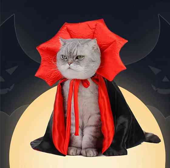 Плащ для собак і котів Вампір Хелловін М чорно-червоний Київ