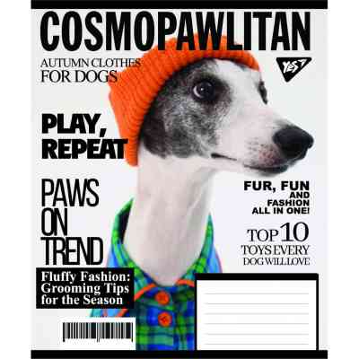Зошит Yes Animal's fashion А5 24 аркушів лінія (767782) Вінниця