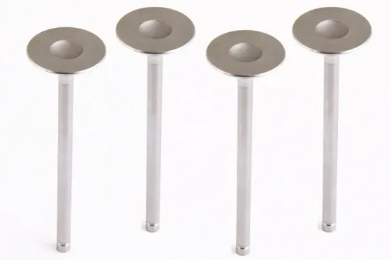 Клапана Lanos 1.6 AMP впускные (4 шт.) Винница