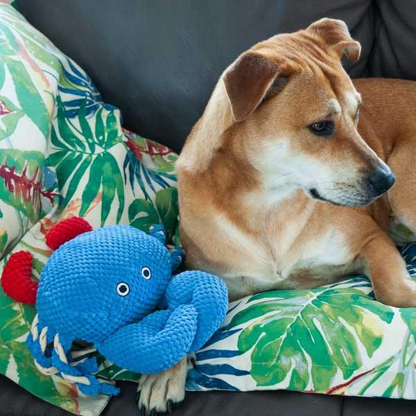 Іграшка для собак Patchwork Pet Crab (Печворк Пет Краб) Запоріжжя - фото 4