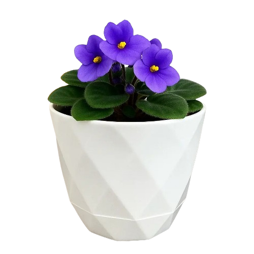 Вазон Yakamoz Saksi 0,3л білий ELIF Житомир - изображение 2