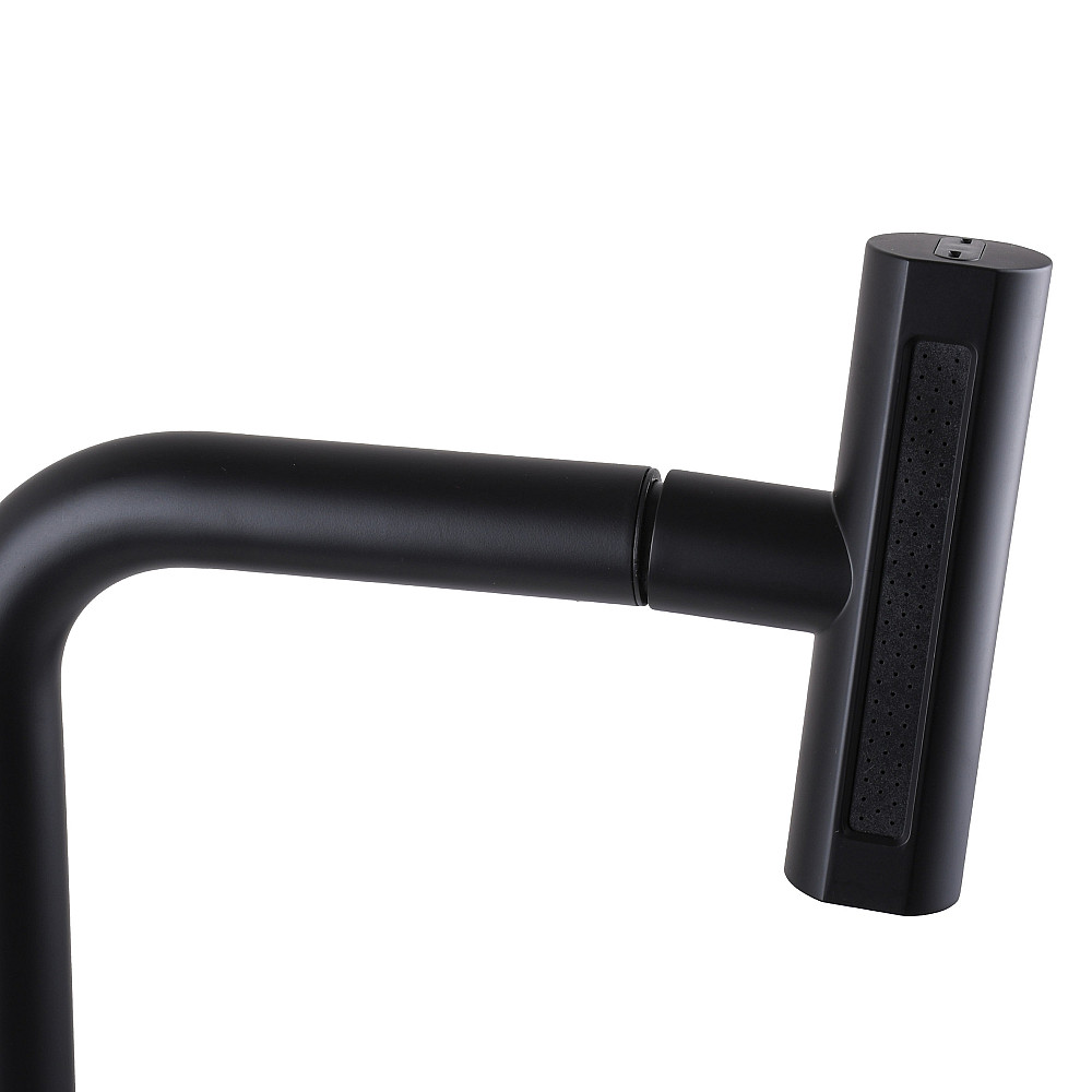 Змішувач для кухні Globus Lux ALPEN SBT1-2044-BB Луцк - изображение 2