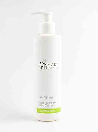 Smart4Derma Acne Derm Active Интенсивный очищающий гель с босфелией, 250 мл Днепр