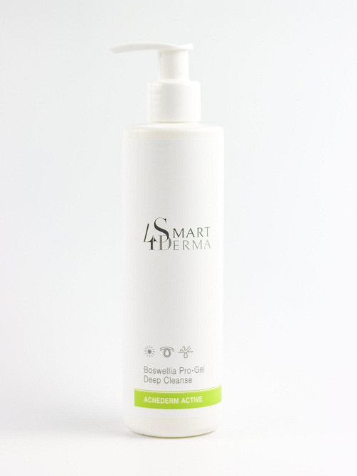 Smart4Derma Acne Derm Active Интенсивный очищающий гель с босфелией, 250 мл Днепр - изображение 1