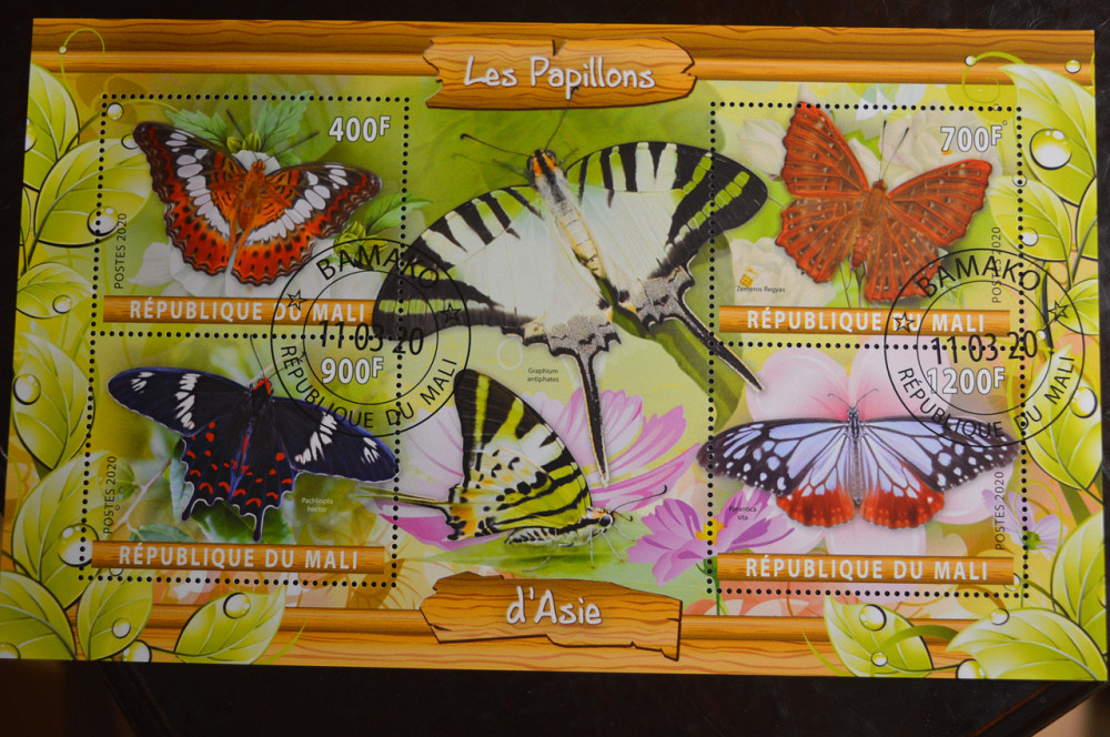 Мали. Марки. Фауна. Блок. 2020 год (В-2) Полтава - изображение 1