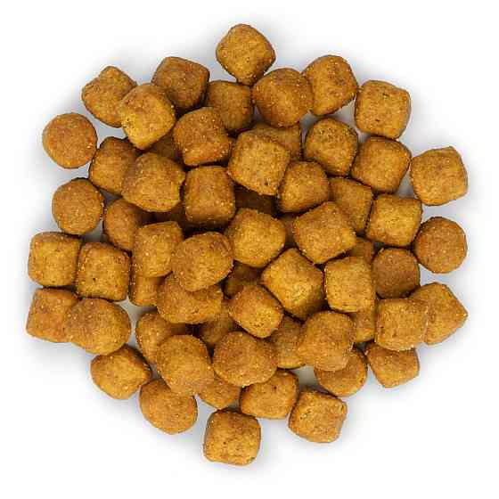 Hills SP Canine Adult Large Breed Lamb Rice (Хиллс СП Канин Эдалт для собак 1-5 лет крупных пород Ягненок Рис) Запорожье